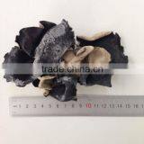 Chinese Dried Fungus ( Black White)