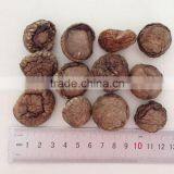 Polish Wild Dried Mushrooms thumbnail-1