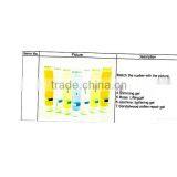 Hot Slimming Cream Slimming Firming Cream Of Skin Care Set thumbnail-5