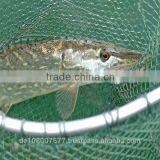 250M 0.06mm ULTRA THIN PE 4 Braided Fishing Line 100% Made in Germany Smooth Strong Round Mega-4-braid thumbnail-5