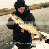 Sports Fishing Line, Nylon Fishing Lines[made in Germany ] Megastrong 500M Light Grey thumbnail-5