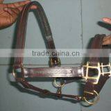 Leather Empty Channel Halter thumbnail-1