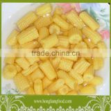 top quality canned baby corn in cuts
