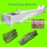 Automatic Vegetable&fruit Precooking Machine/peach Precooking Machine thumbnail-1