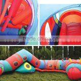 Giant Inflatable Play Tunnels thumbnail-1