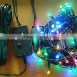 Vivid Muti-color Led Decorative String Light thumbnail-1