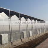 Polycarbonate PC Sheet Multi-span Greenhouse thumbnail-2