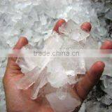 Seawater Ice Plate Making Machine for Fishery