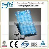 Google Made in China Hot Sale Portable Dry Ice Bags thumbnail-6