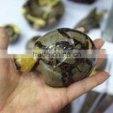 New Animal Cravings Natural Dragon Septarian Quartz Crystal Carved Tortoise thumbnail-2