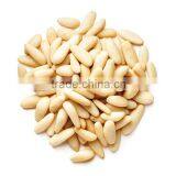 PINE NUT KERNEL thumbnail-5