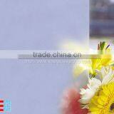 Acid Etched Glass in Building Glass thumbnail-1