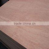 Bintangor Plywood 9mm,12mm,16mm,18mm thumbnail-1