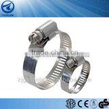 Industrial Use Stainless Steel Quick Release Worm Clamp