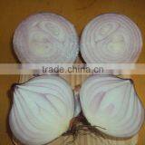 New crop fresh onion wholesale onion bulk