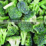 IQF Broccoli thumbnail-3