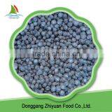 IQF Frozen Blueberry thumbnail-6