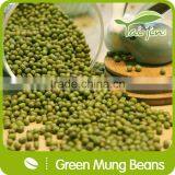 High Quality Green Mung Beans Foul Medames thumbnail-3