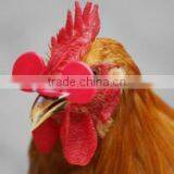 Chicken Eyes Mirror for Sale thumbnail-1
