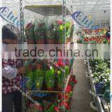 36 Flower Cart Base, Expande Steel Flower Carts Trolley Base, Pulling Plate Mesh Base For Flower Trolley thumbnail-3