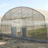 Hot Sale Low Price Tunnel Greenhouse Growing Vegetable thumbnail-5