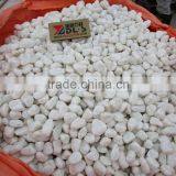 Tumbled Snow White Pebble Stone for Landscaping Paving thumbnail-4