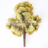 SJ070916 Colorful Folium Ginkgo Leaf thumbnail-5