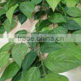 Guangzhou Shengjie Artificial Giant Hanging Decorative Apple Tree Leave/apple Tree Brahces for Tree Making thumbnail-5