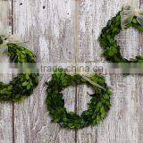 8'' Preserved Boxwood Wreath Wholesale thumbnail-1