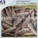 Frozen Wild Yellow Croaker IQF50-70g ,bulk in Carton thumbnail-1