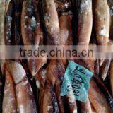 Good Quality Frozen Illex Argentinus Squid thumbnail-1