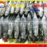 FROZEN MUROAJI FOR TUNA BAIT thumbnail-1