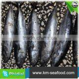 Carton or Woven Bag Packed Without Faure Marin Auxis Thazard wr thumbnail-5