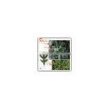 Chinese Facotry Artificial Led Christmas Tree thumbnail-6