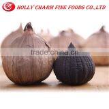 China Supplier Best Healthy Black Garlic thumbnail-2