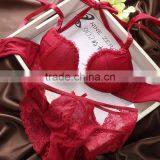 Hot Sale Black With Red Color Ladies Sexy Net Bra Sets Sexy Bra Panty Set thumbnail-1