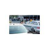 Car Flags thumbnail-1