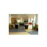 Bonie PVC Floor in Showroom thumbnail-1