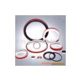 Sell PTFE Seals And PTFE Lips