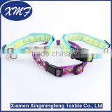 Nylon Webbing Material Adjustable Pet Collar and Leashes thumbnail-4