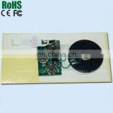 Audio Recordable Chip And Playback Chip Circuits For Cards And Toys thumbnail-6