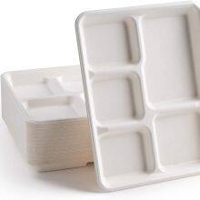 Biodegradable Sturdy Leak-proof Microwave Safe Bagasse 5-compartment Trays for Family Gatherings thumbnail-1