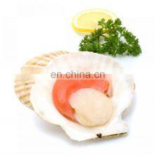 Frozen Farreri Scallop Half Shell Scallop thumbnail-3