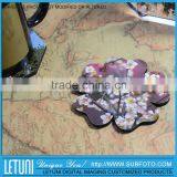 Vegetable Shaped Plate Coaster