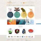 Website Redesigning Services thumbnail-1