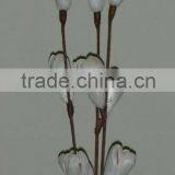 Sola Flower thumbnail-1