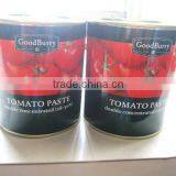 850g Canned Jus de Conserves de With Brix 28~30 thumbnail-1