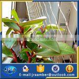 Protect Mesh Infill Cable Wire Rope Mesh Artificial Plants Garden Fence thumbnail-2