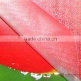 Narrow Cross Shape Film for Photo Studio Use