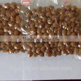 Supply With Chinese Bulk Spicy Flavored Roasted Apricot Kernels in Shell thumbnail-4